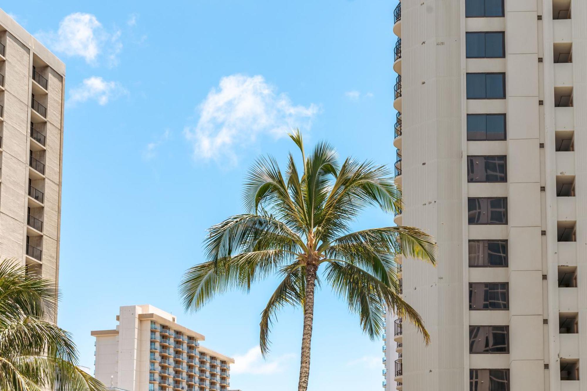 Ocean & Diamond Head Views - Near Beach - Parking! Honolulu Exteriér fotografie