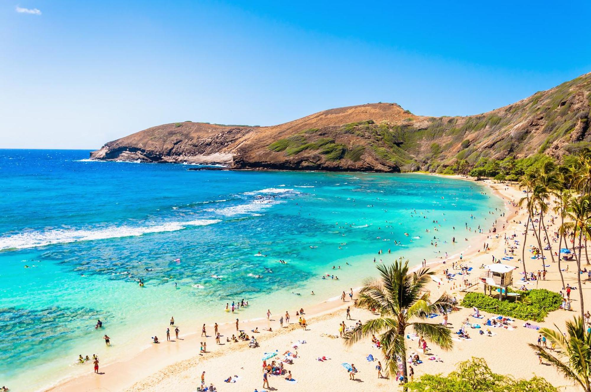 Ocean & Diamond Head Views - Near Beach - Parking! Honolulu Exteriér fotografie